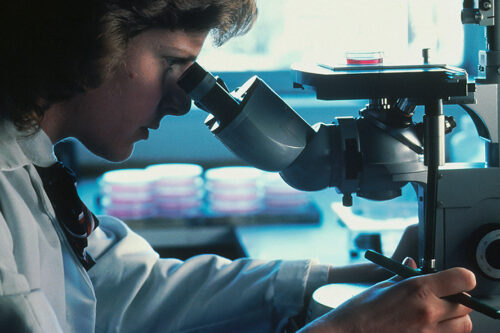 Scientific Research Featured Image